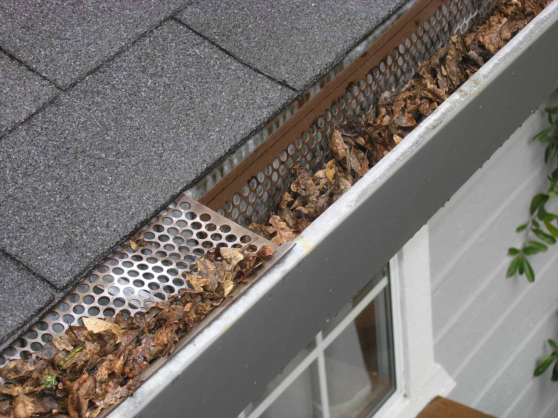 Gutter with leaf guards partially clogged with debris, requiring storm repair.